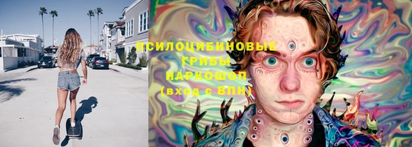 гидропоника Елабуга