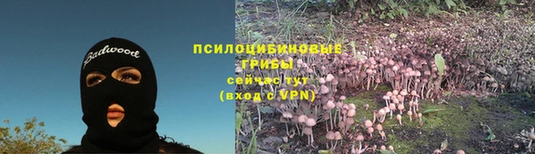 прущая мука Елизово