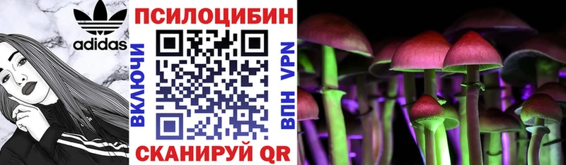 Галлюциногенные грибы Psilocybe Купить Павлово